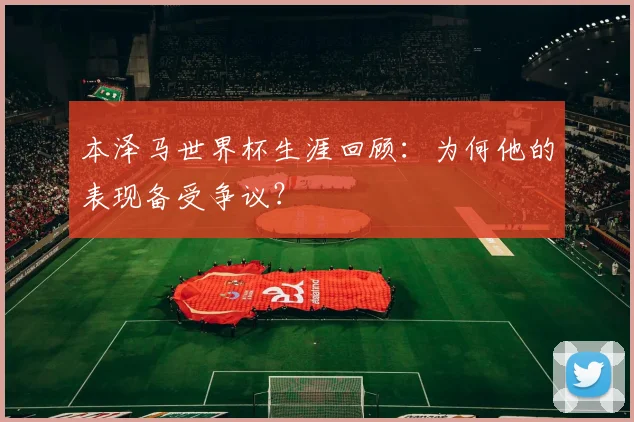 本泽马世界杯生涯回顾：为何他的表现备受争议？