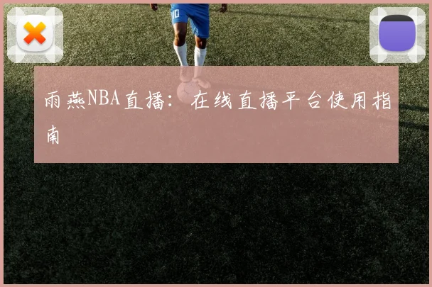 雨燕NBA直播：在线直播平台使用指南