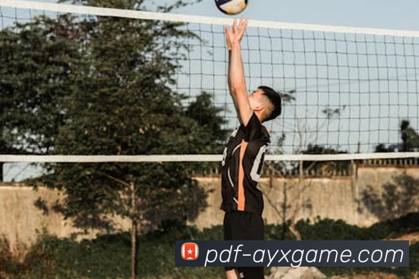 爱游戏平台生态图